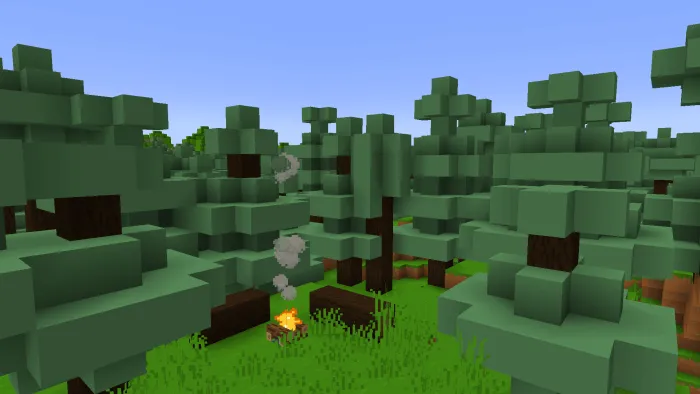 Вид деревьев в лесу