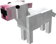 Вид бультерьера