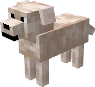 Белый лабрадор