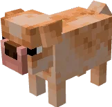 Вид бульдога