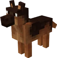 Вид овчарки