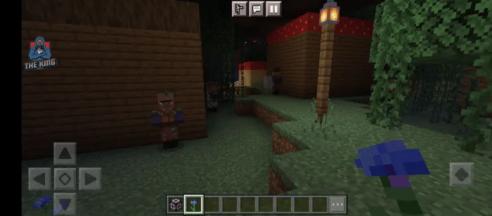 Деревенский житель ночью