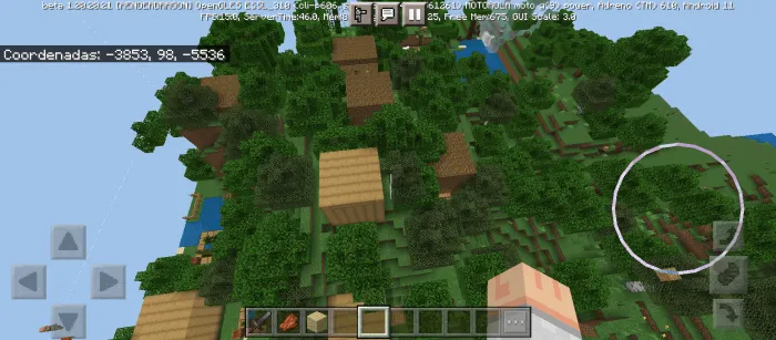 Деревня в лесу