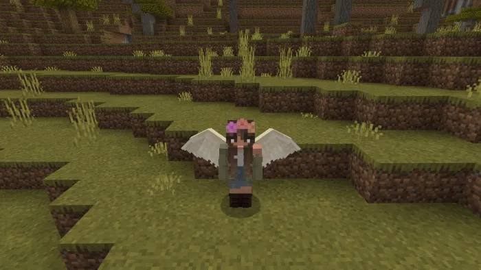 Ангельские крылья за спиной