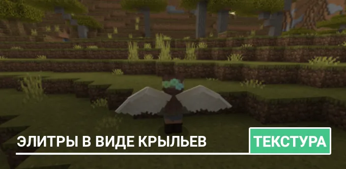Текстуры: Элитры в виде крыльев