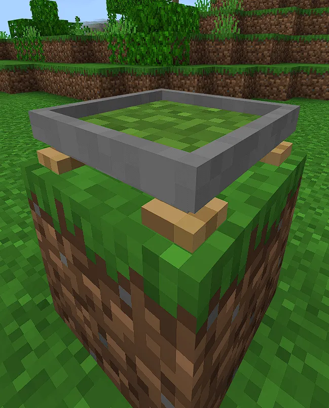 Бонсай с землей