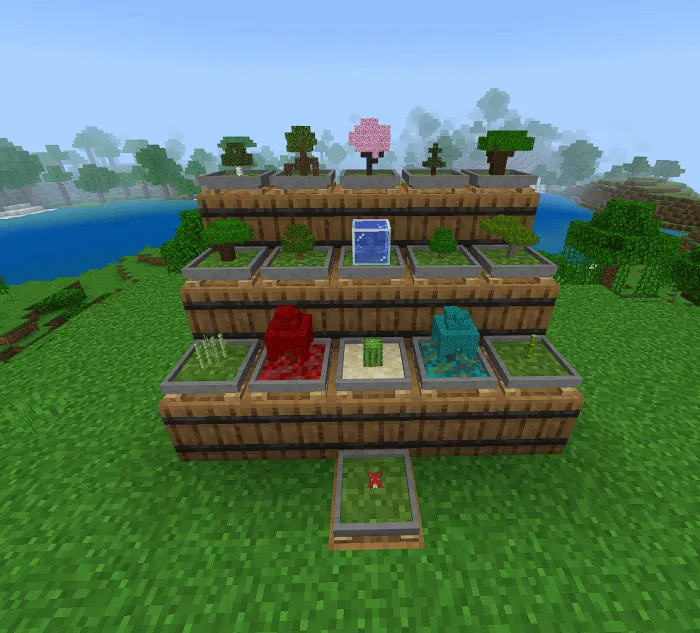 все виды бонсая