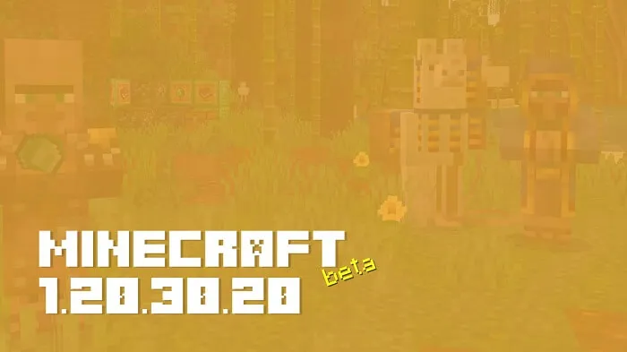 Minecraft 1.20.30.20