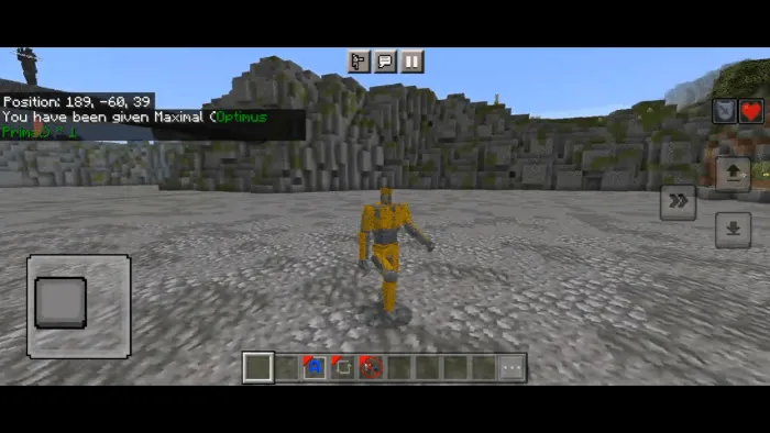 Вид робота праймала