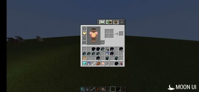 Вид инвентаря