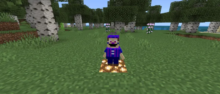 Вид джейджей