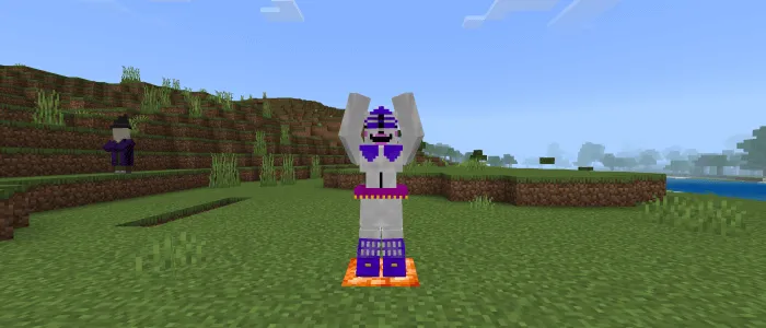 Вид баллора