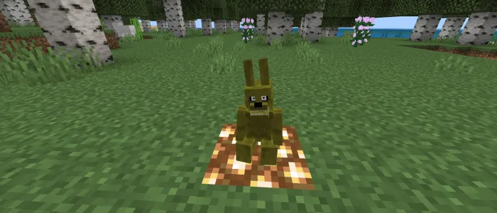 Вид плюштрап