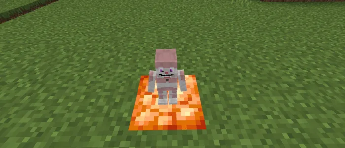 Вид бидибаб