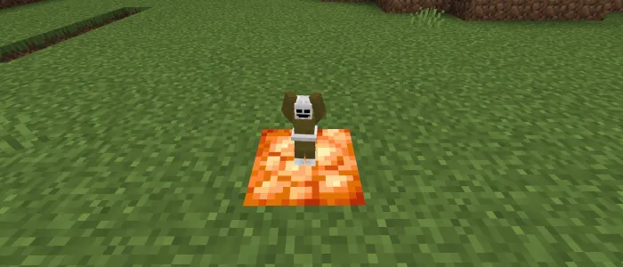 Вид минирина