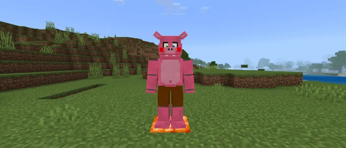 Вид пигпатч