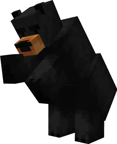 Вид медведя