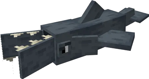 Вид оратора