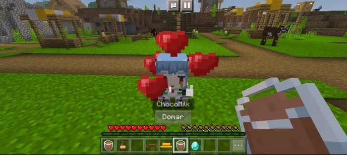 Приручение рей чикиты