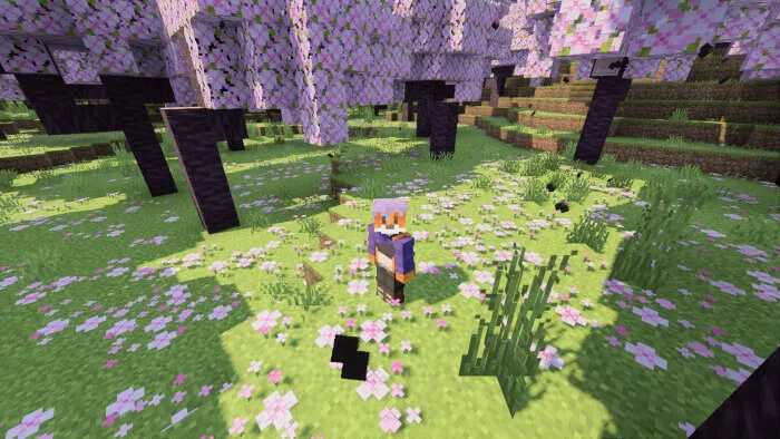 Свет в биоме с шейдерами