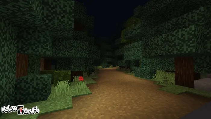 Локация леса и тропинка