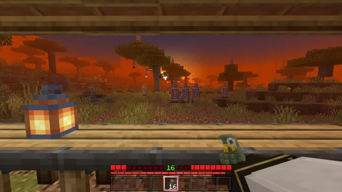 вид гранаты