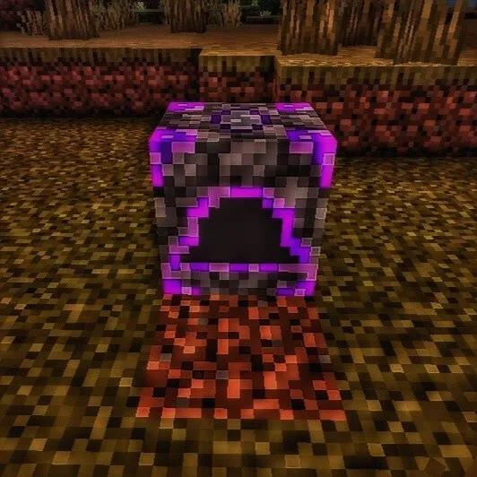 Вид разбирателя