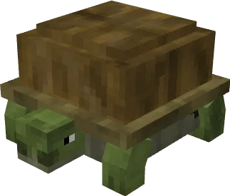 Вид черепашки