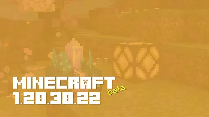 Minecraft 1.20.30.22