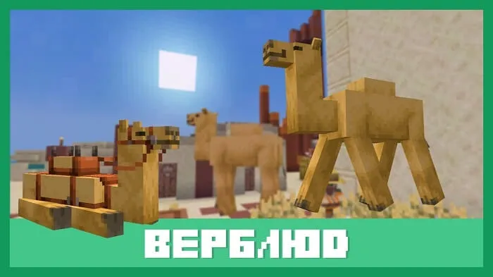 Верблюд [Моб]