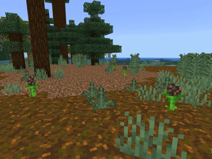 Роговая орхидея