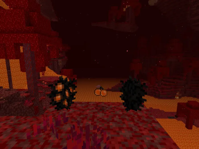 Кусты драконьей вишни