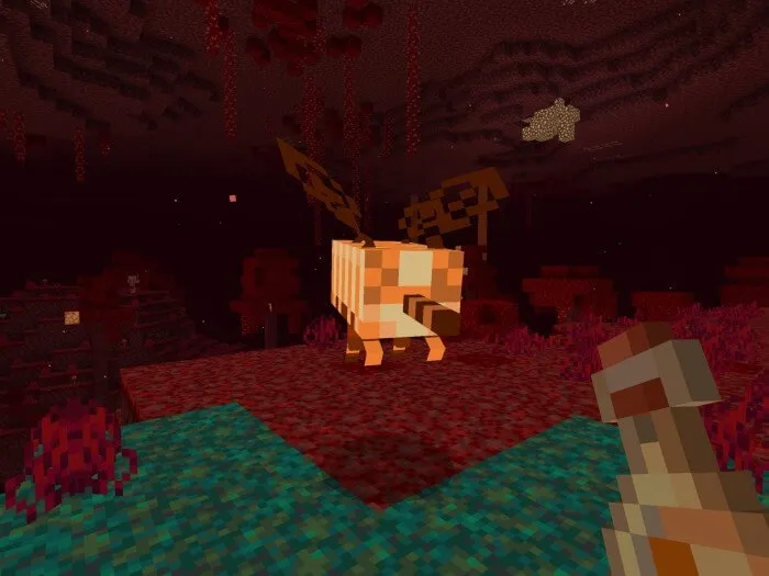 Грибной жук