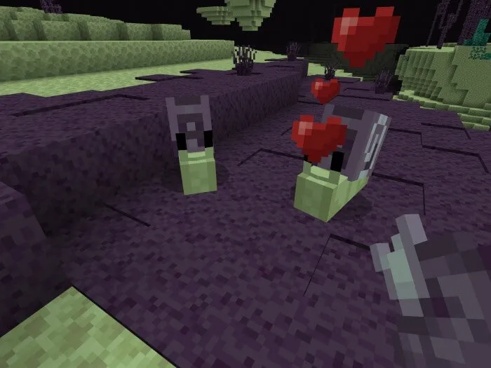 Две улитки Хорус