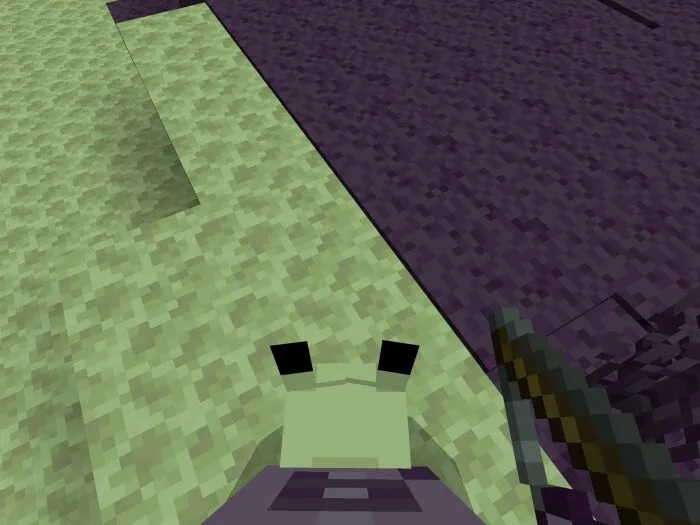 Верхом на Улитке Хорус