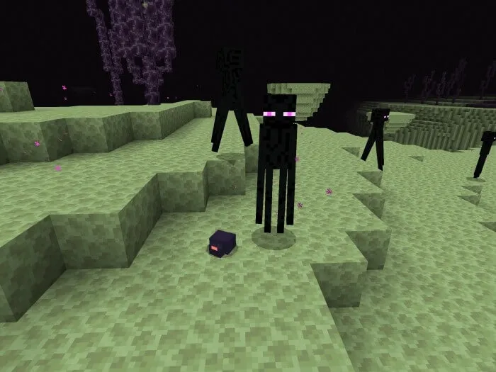 Чешуйница Края и Странник Края