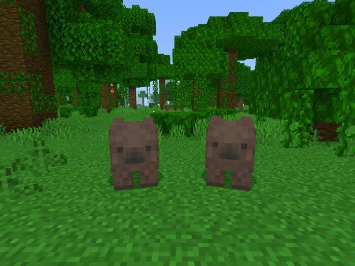 Два Вомбата