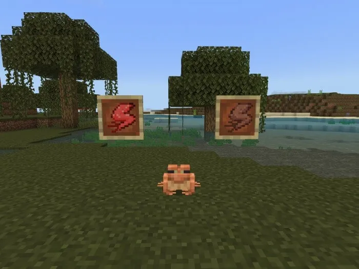 Лягушачья лапка и Лягушка