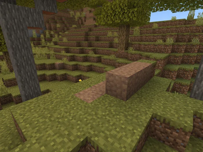 Утрамбованная грязь