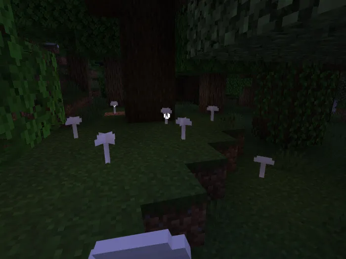 Белые грибы