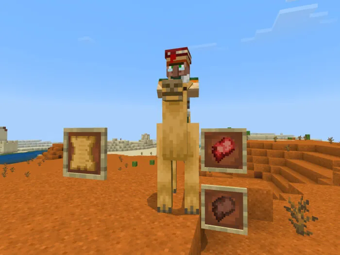 Верблюд, Житель и дроп