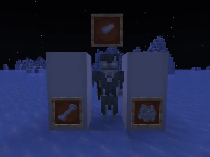 Бродяга и дроп