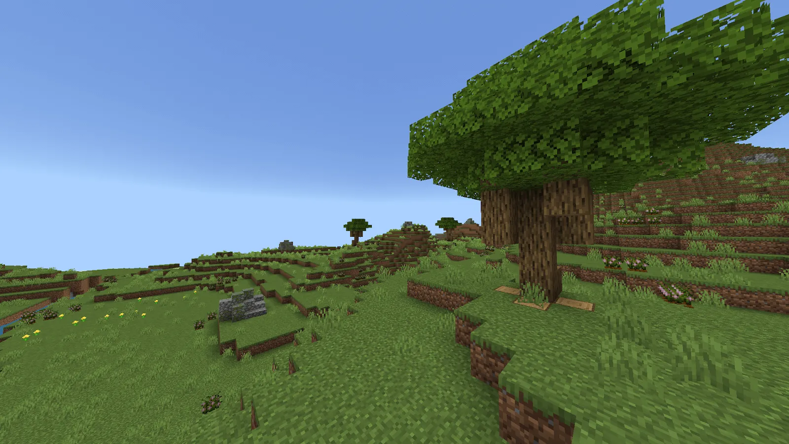 Биом равнин