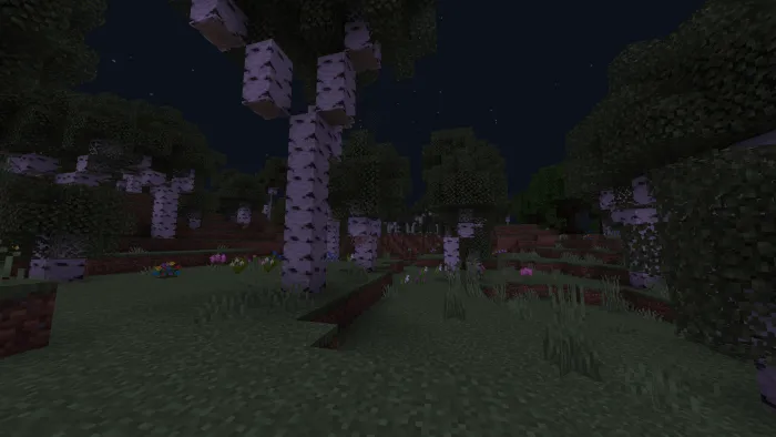 Березовый лес