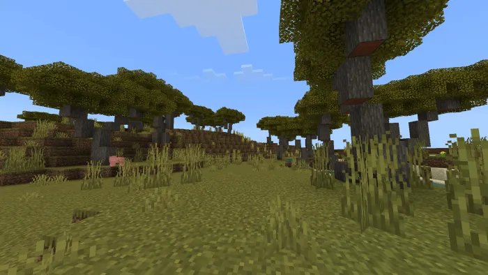 Биом саванны