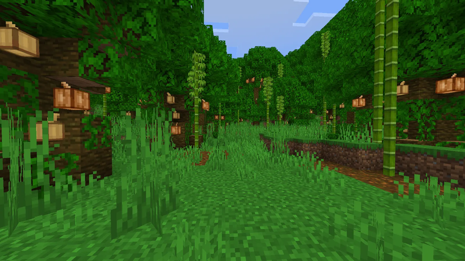 Биом джунгли