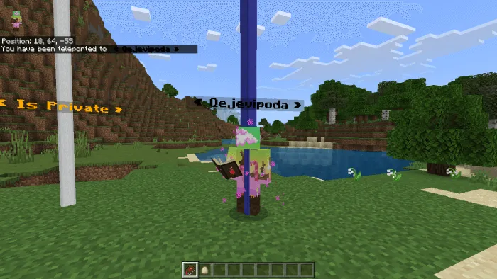 Игрок рядом с точкой местоположения