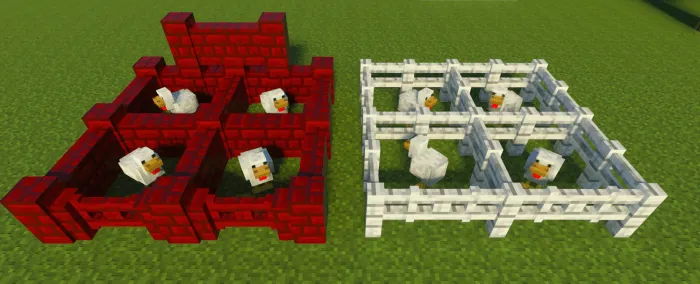 Курицы за стенами