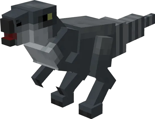 Вид залмокса