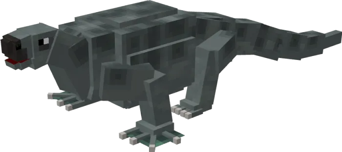 Вид котилоринха